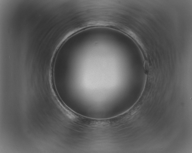 X0000073991187200608211340