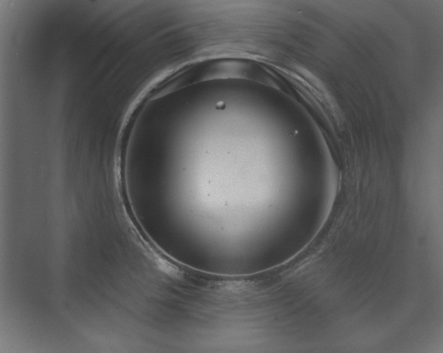 X0000073991188200608211340