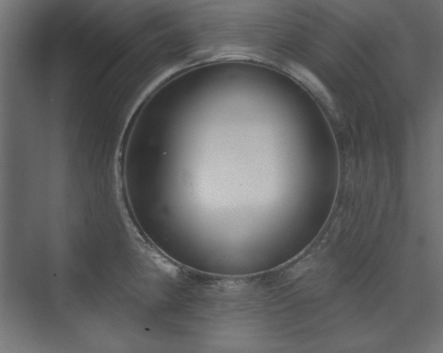 X0000073991190200608211340