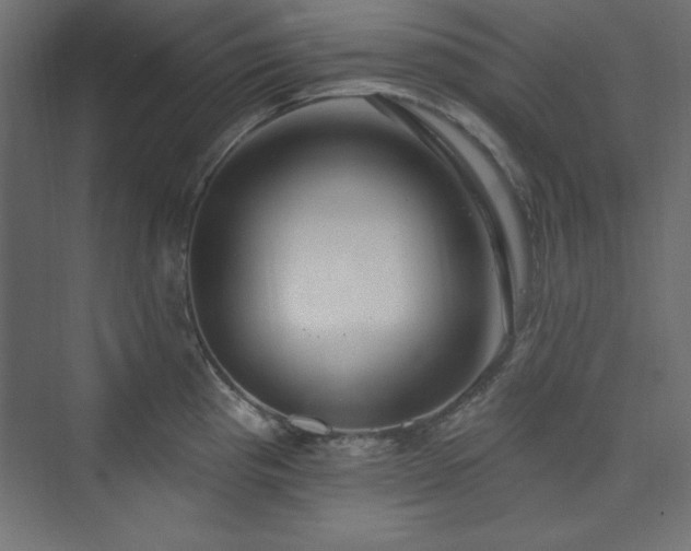 X0000073991193200608211340