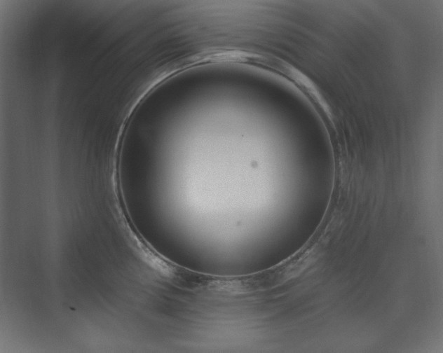 X0000073991194200608211340