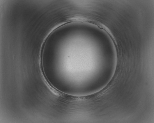 X0000073991195200608211340