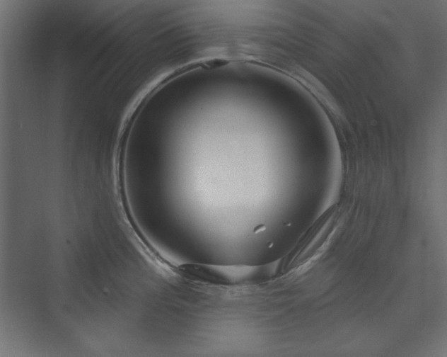 X0000073991196200608211340