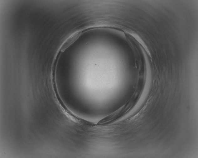 X0000073991197200608211340