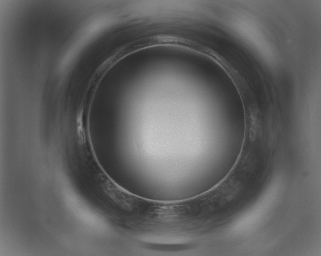 X0000073991198200608211340