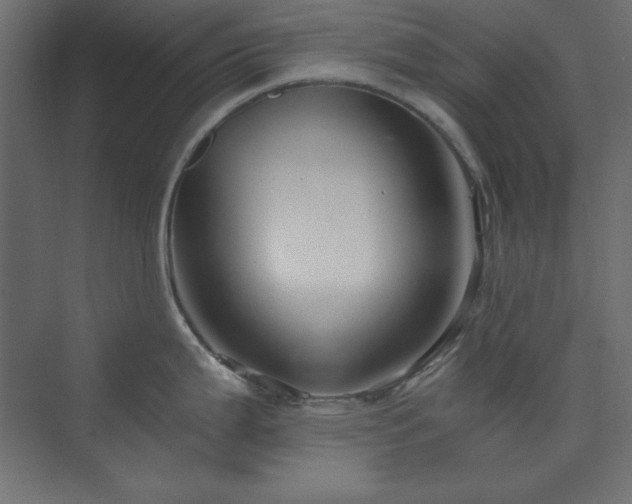 X0000073991199200608211340