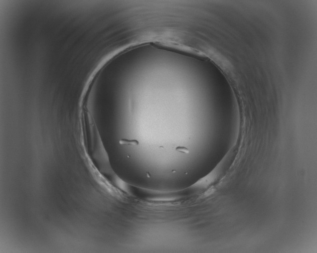 X0000073991200200608211340