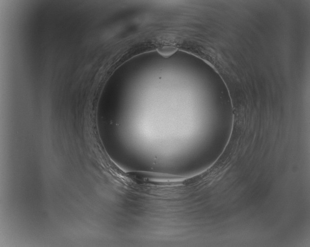 X0000073991201200608211339