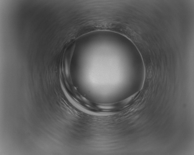 X0000073991202200608211339