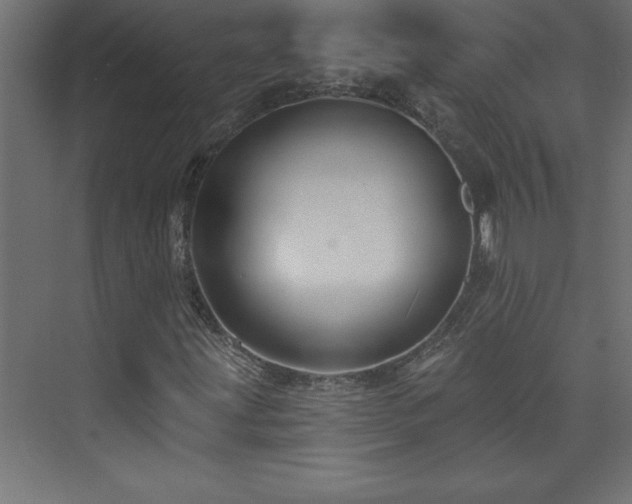 X0000073991203200608211339