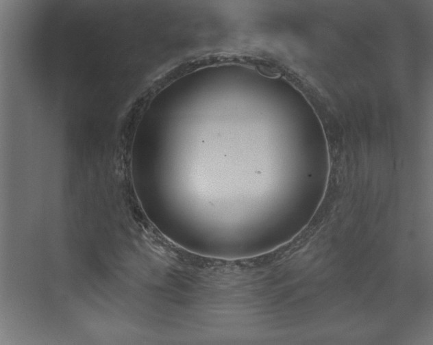 X0000073991207200608211339