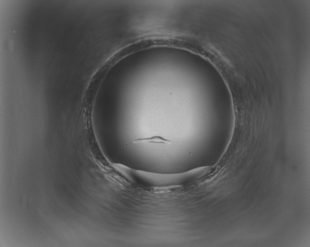 X0000073991208200608211339