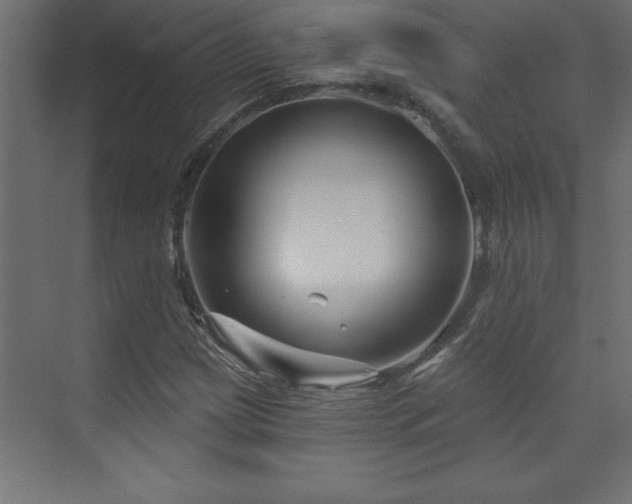 X0000073991209200608211339