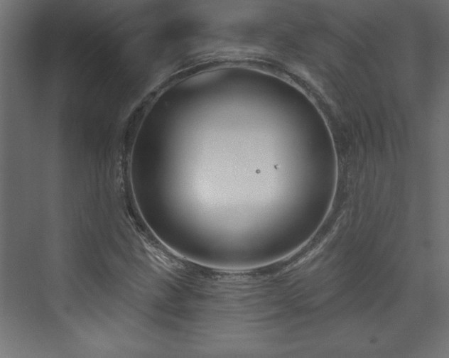 X0000073991211200608211339