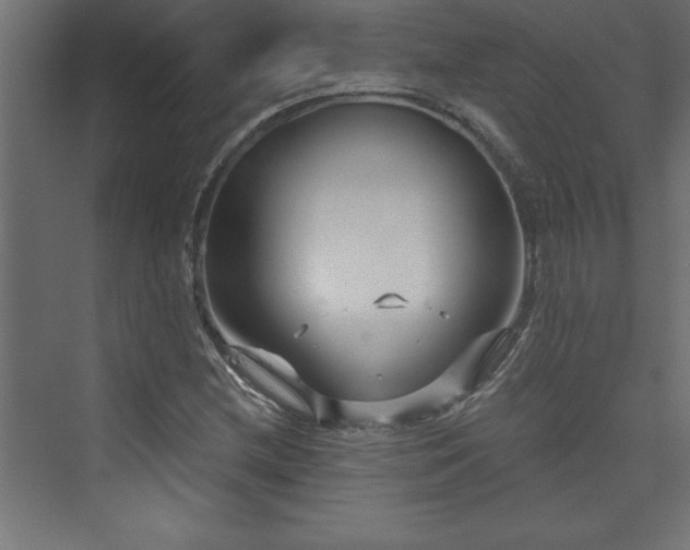 X0000073991212200608211339