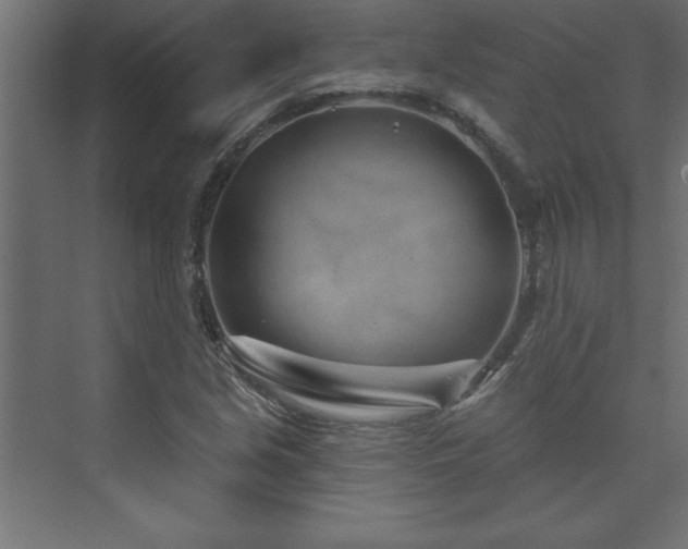 X0000073991213200608211339