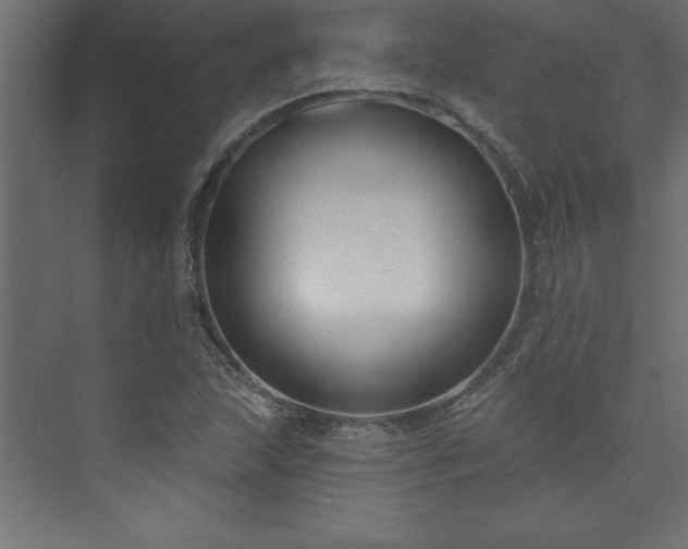 X0000073991215200608211339