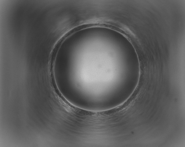 X0000073991216200608211339