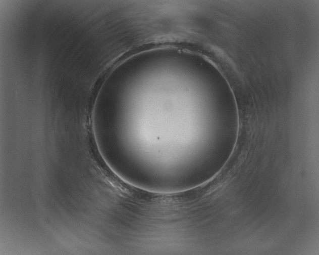 X0000073991217200608211339