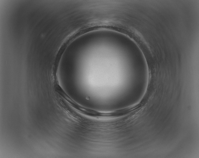 X0000073991218200608211339