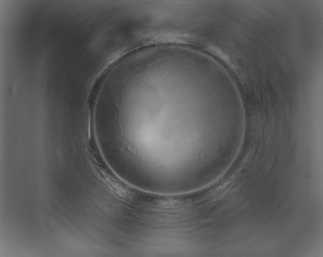 X0000073991219200608211339