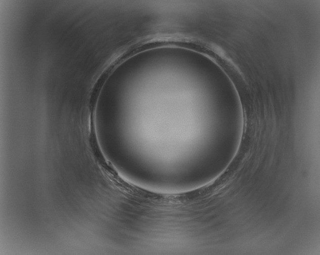 X0000073991221200608211339