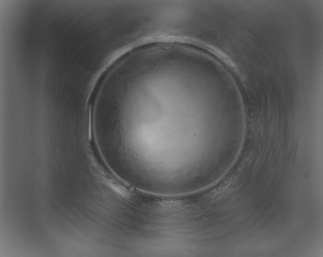 X0000073991223200608211339