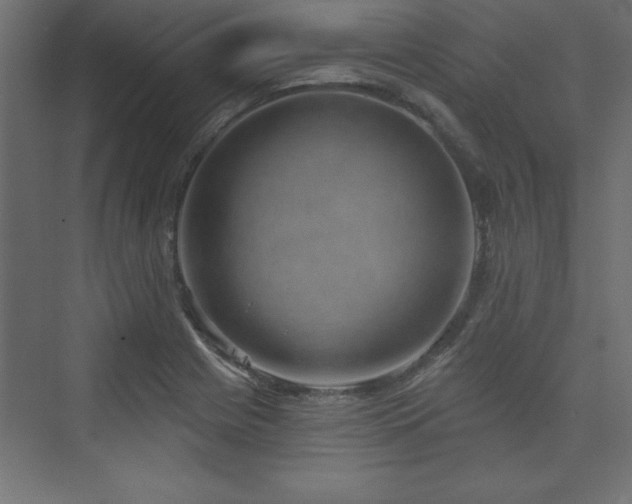 X0000073991225200608211339