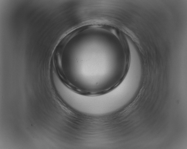 X0000073991226200608211339