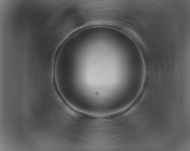 X0000073991228200608211339