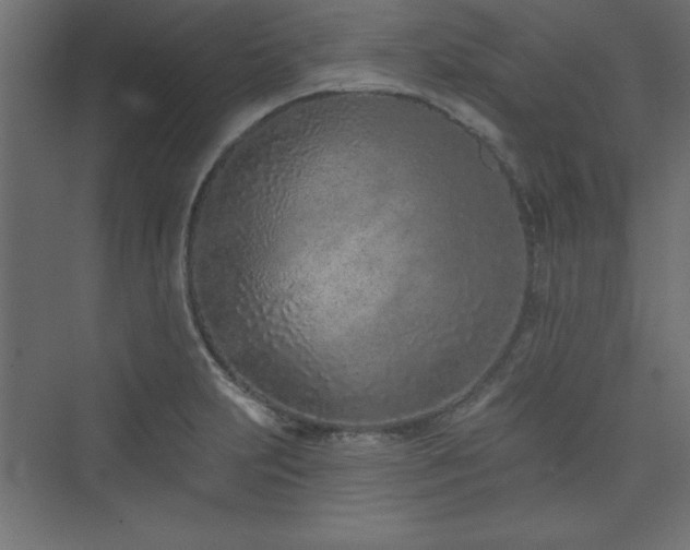 X0000073991231200608211339