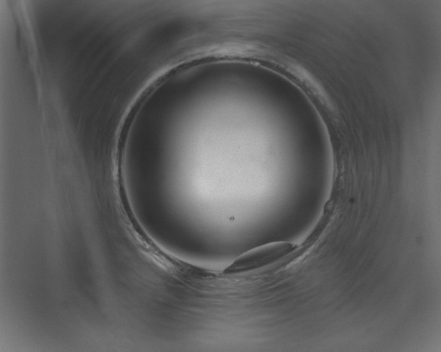 X0000073991232200608211339