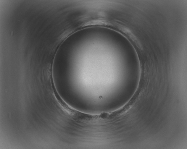 X0000073991233200608211339