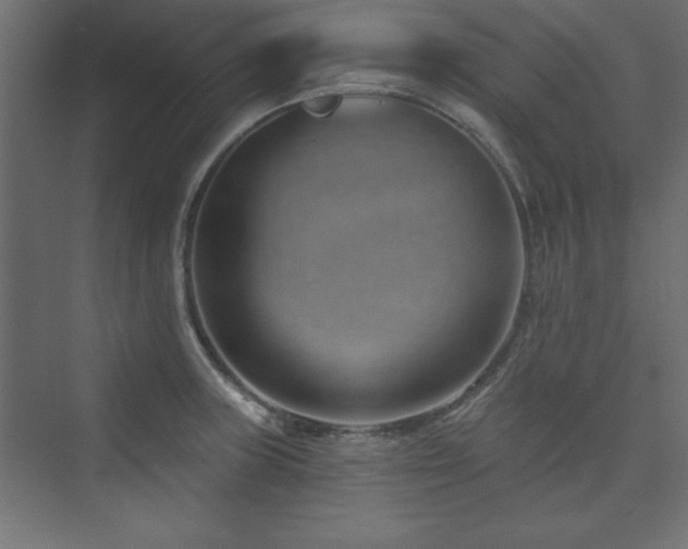 X0000073991235200608211339