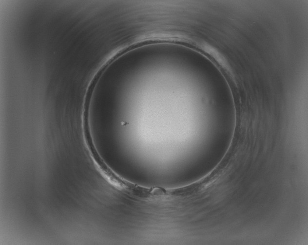 X0000073991237200608211339