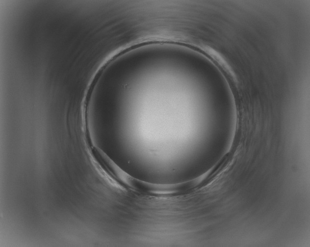 X0000073991238200608211339