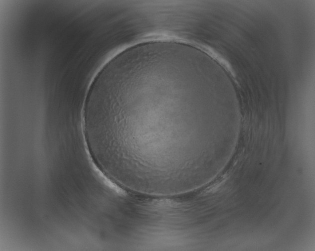 X0000073991239200608211339