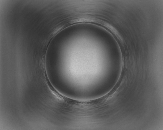 X0000073991241200608211340