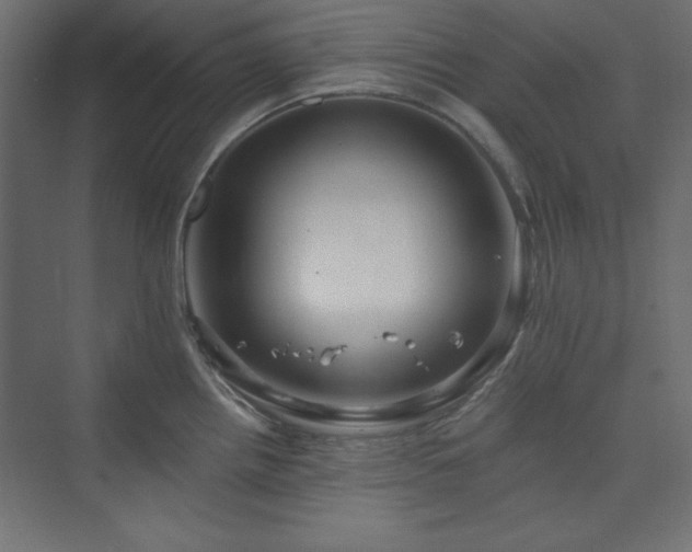 X0000073991242200608211340