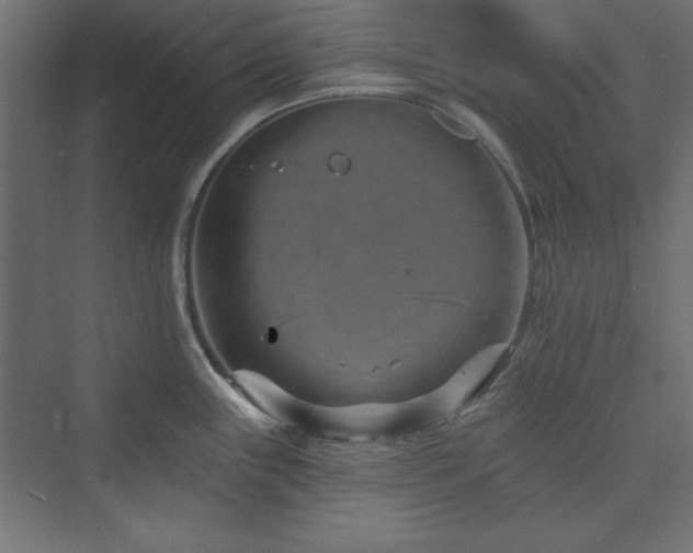 X0000073991243200608211340