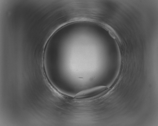 X0000073991244200608211340