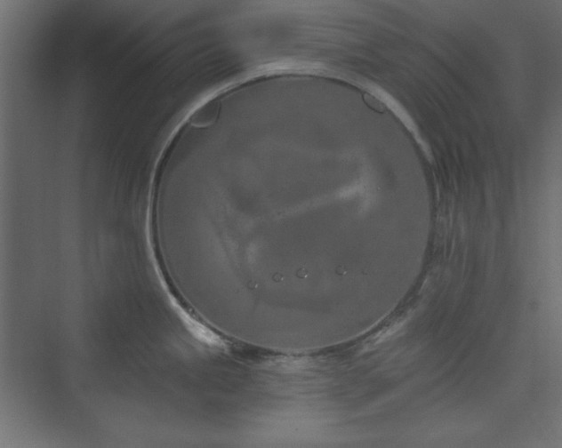 X0000073991245200608211340