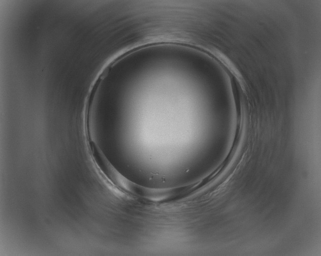 X0000073991246200608211340