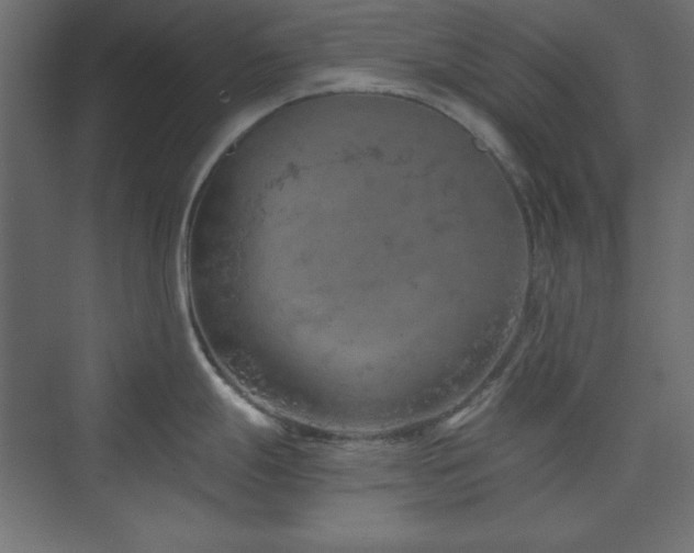 X0000073991247200608211340