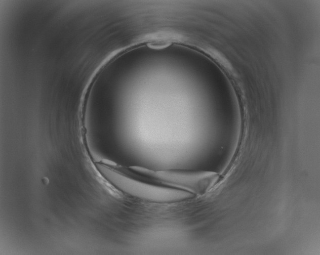 X0000073991248200608211340