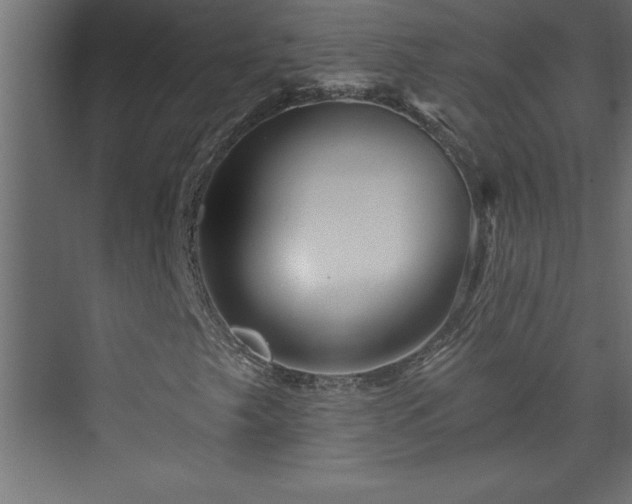 X0000073991249200608211339