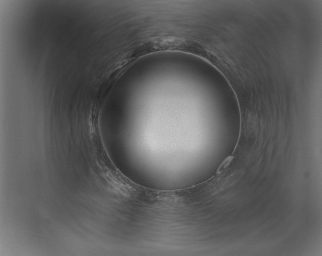 X0000073991250200608211339