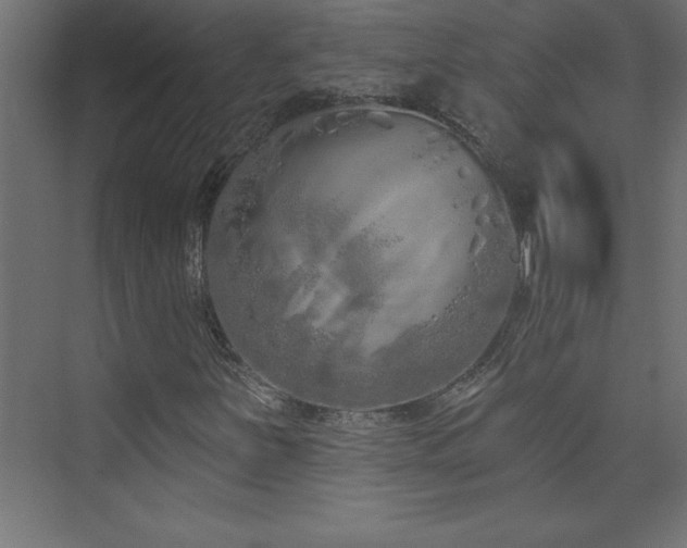 X0000073991251200608211339