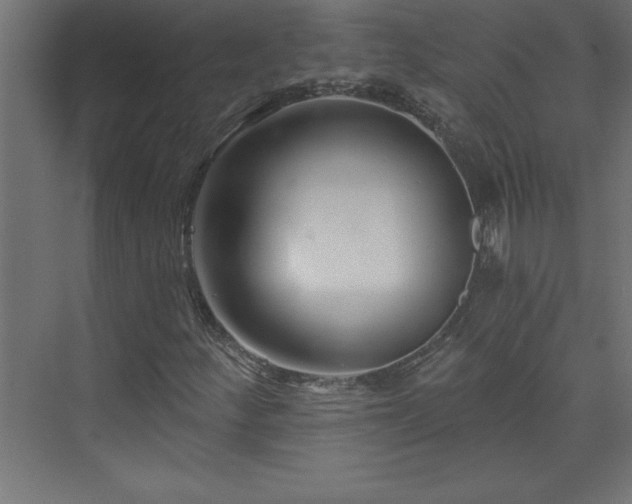 X0000073991252200608211339