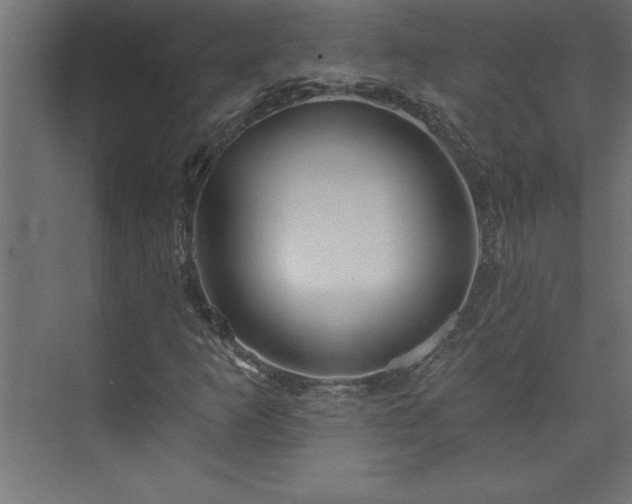 X0000073991253200608211339